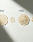 The Pimple Patch Hydrocolloid Blemish Dots - Absorbs & Protects